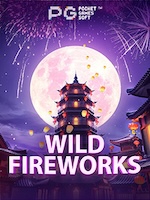 Wild-Fireworks icon